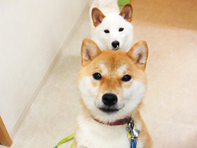 当院の特長
