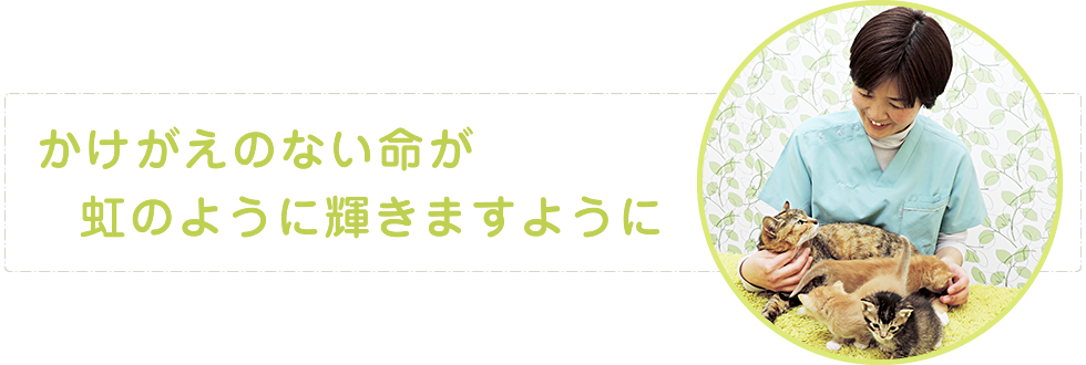 かけがえのない命が虹のように輝きますように