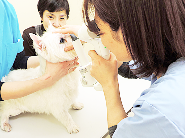 診療案内 medical image 03