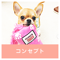 当院について
