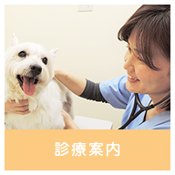 診療案内