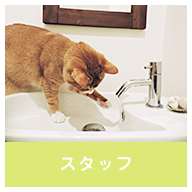 スタッフ