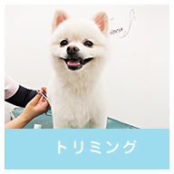 トリミング