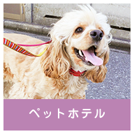 ペットホテル