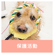保護活動
