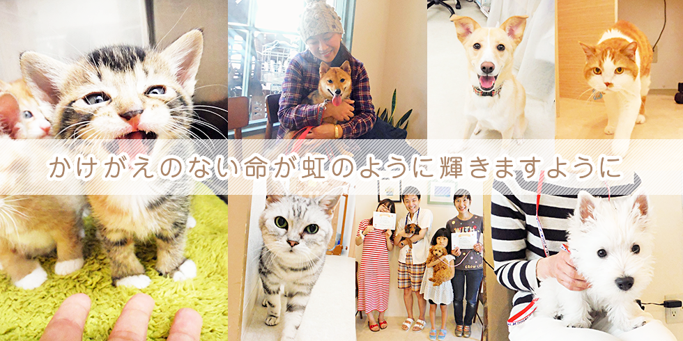 なないろ動物病院